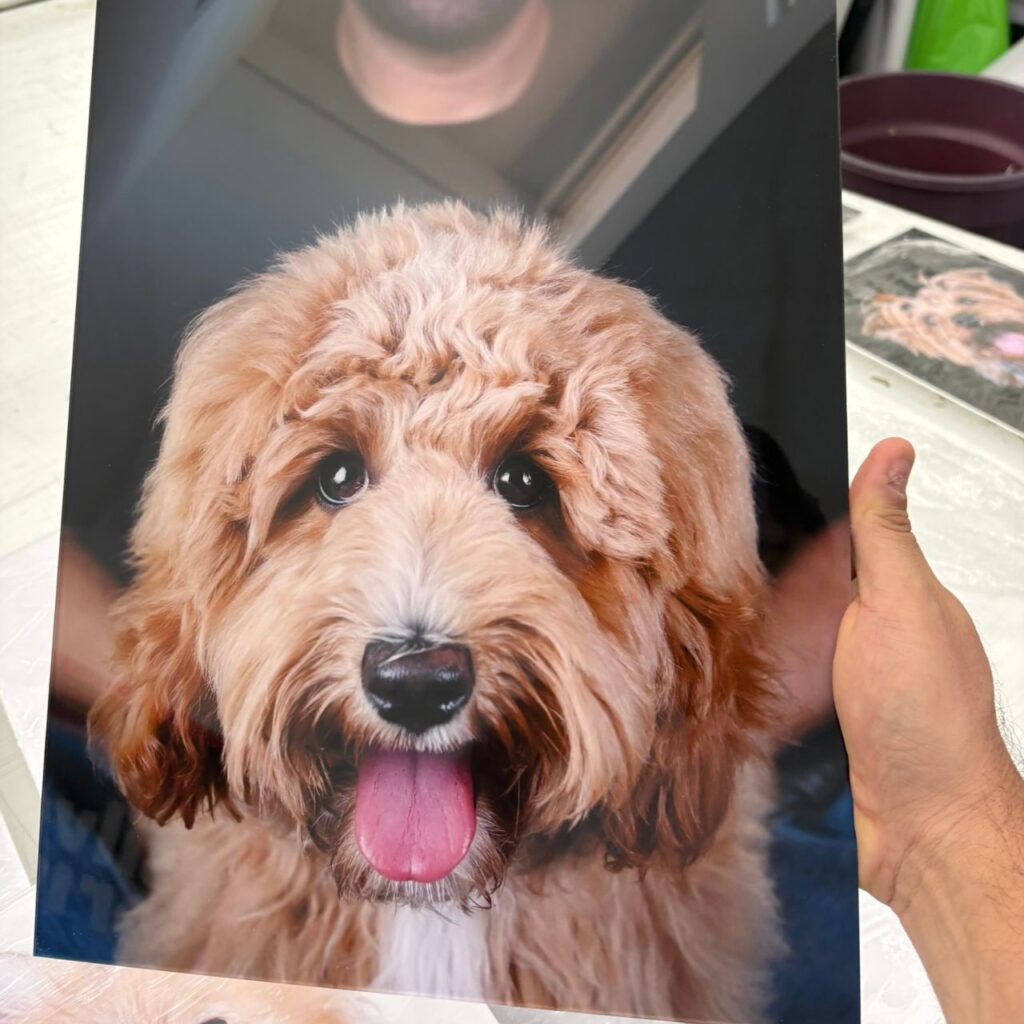 canvas y acrilicos paw pixel