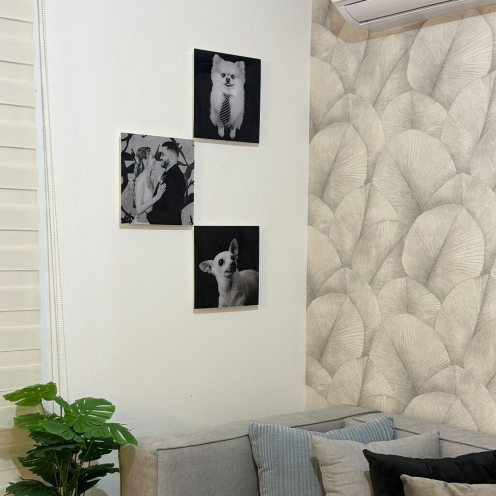 canvas y acrilicos paw pixel