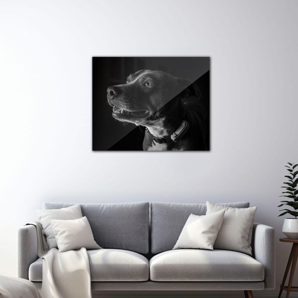 canvas y acrilicos paw pixel