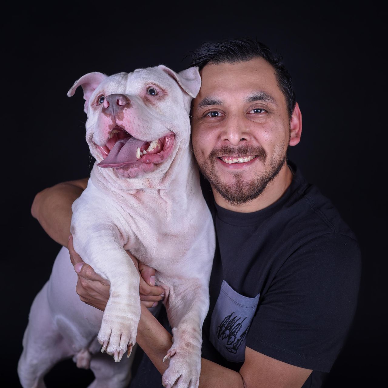 fotografía sin salir de casa para tus mascotas