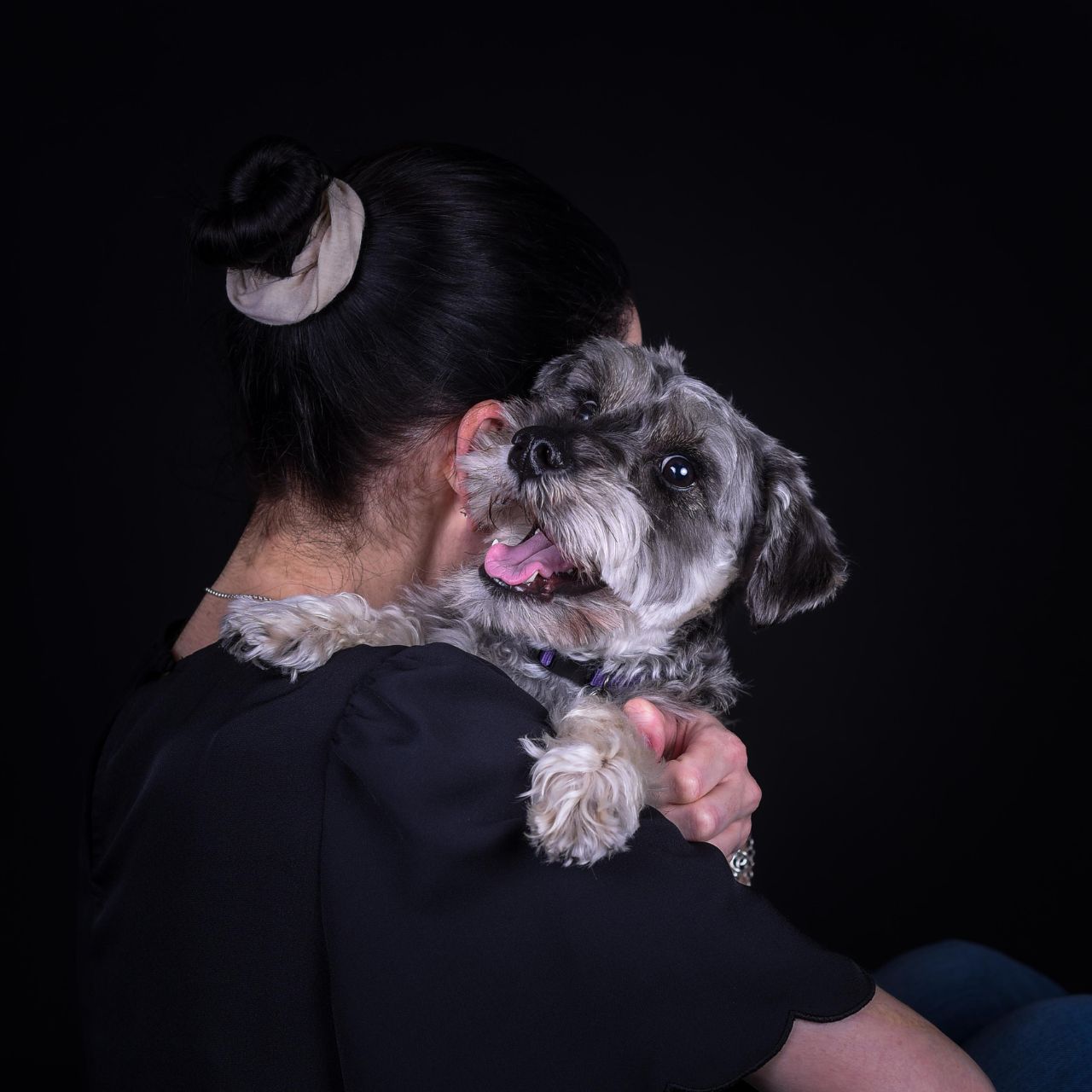 fotografía sin salir de casa para tus mascotas