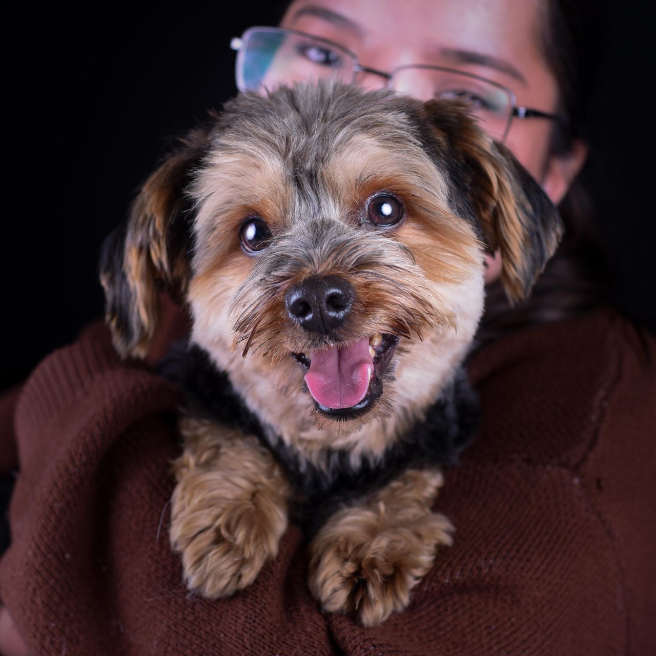 fotografía sin salir de casa para tus mascotas